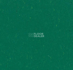 Линолеум Forbo Marmoleum Decibel on Order 364935 greenwood фото 1 | FLOORDEALER